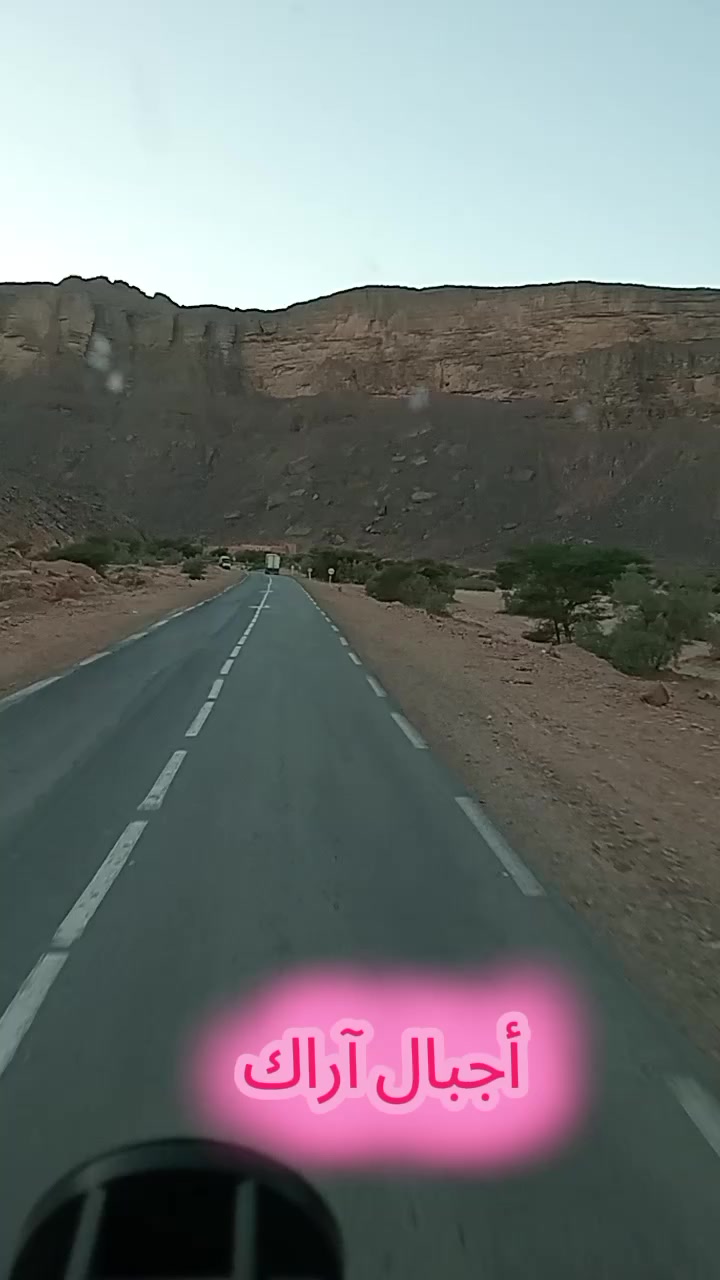 @DiB NORi 39