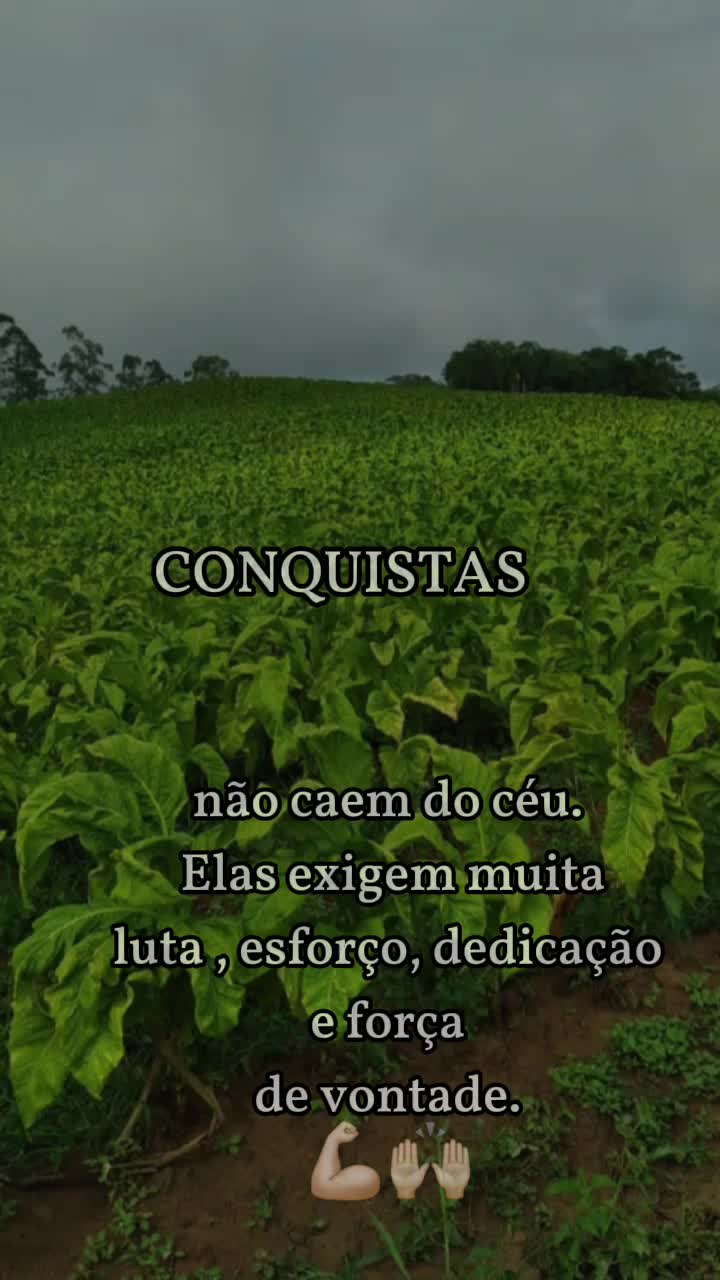 @fabi