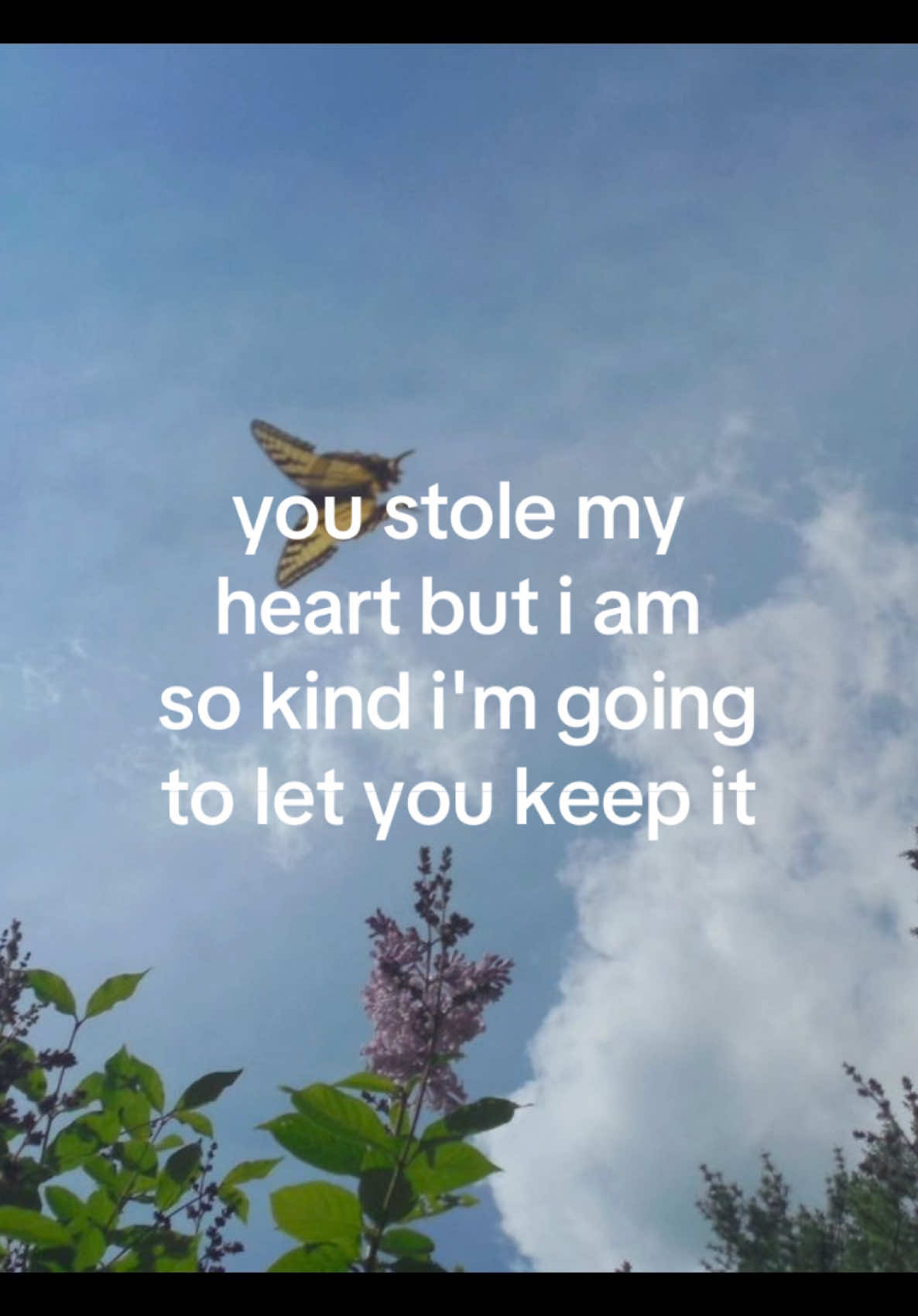 @iseenthisinmydream