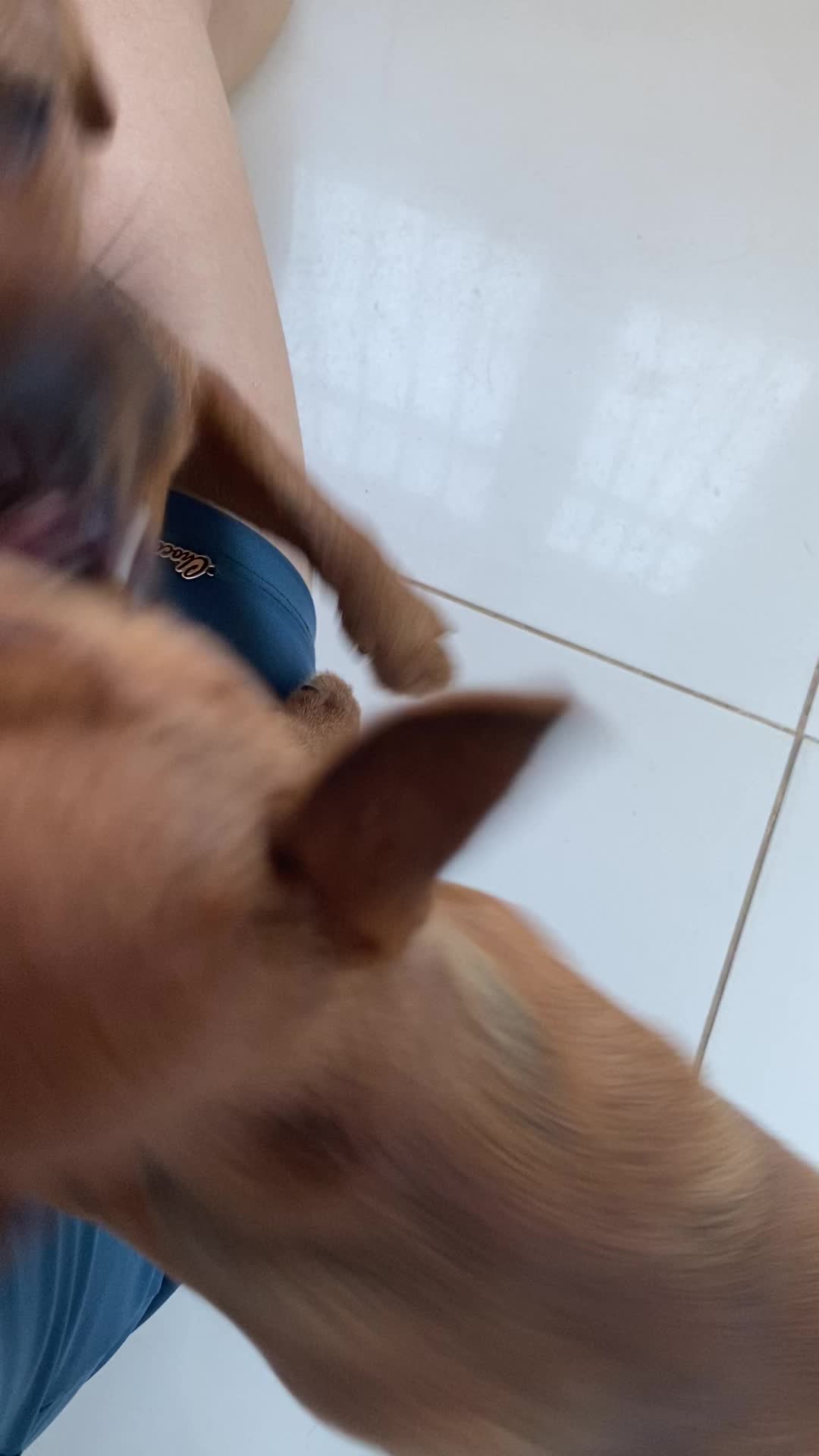 @๐ผ๐๐ธ๐ฒ๐ปã๐ธ๐ผ