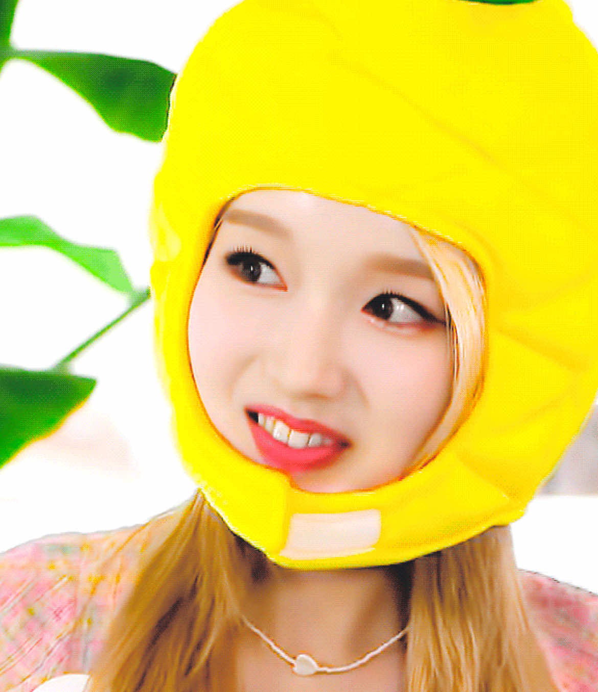 @Choerry with bunny filter