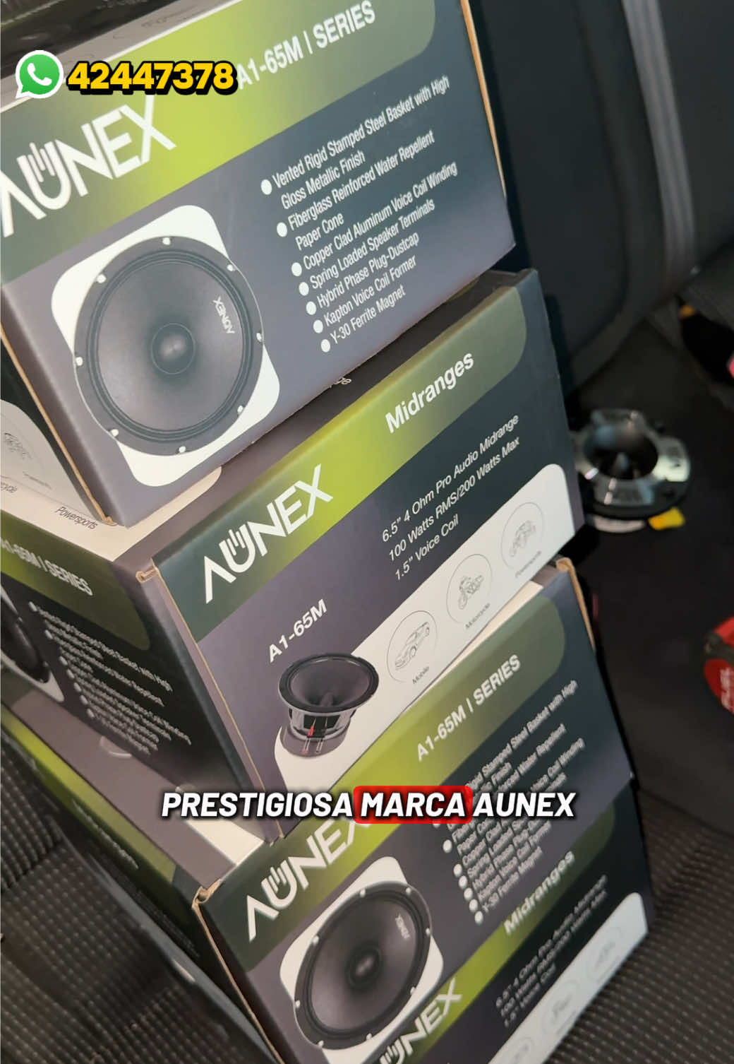 @Car Audio SANARATE
