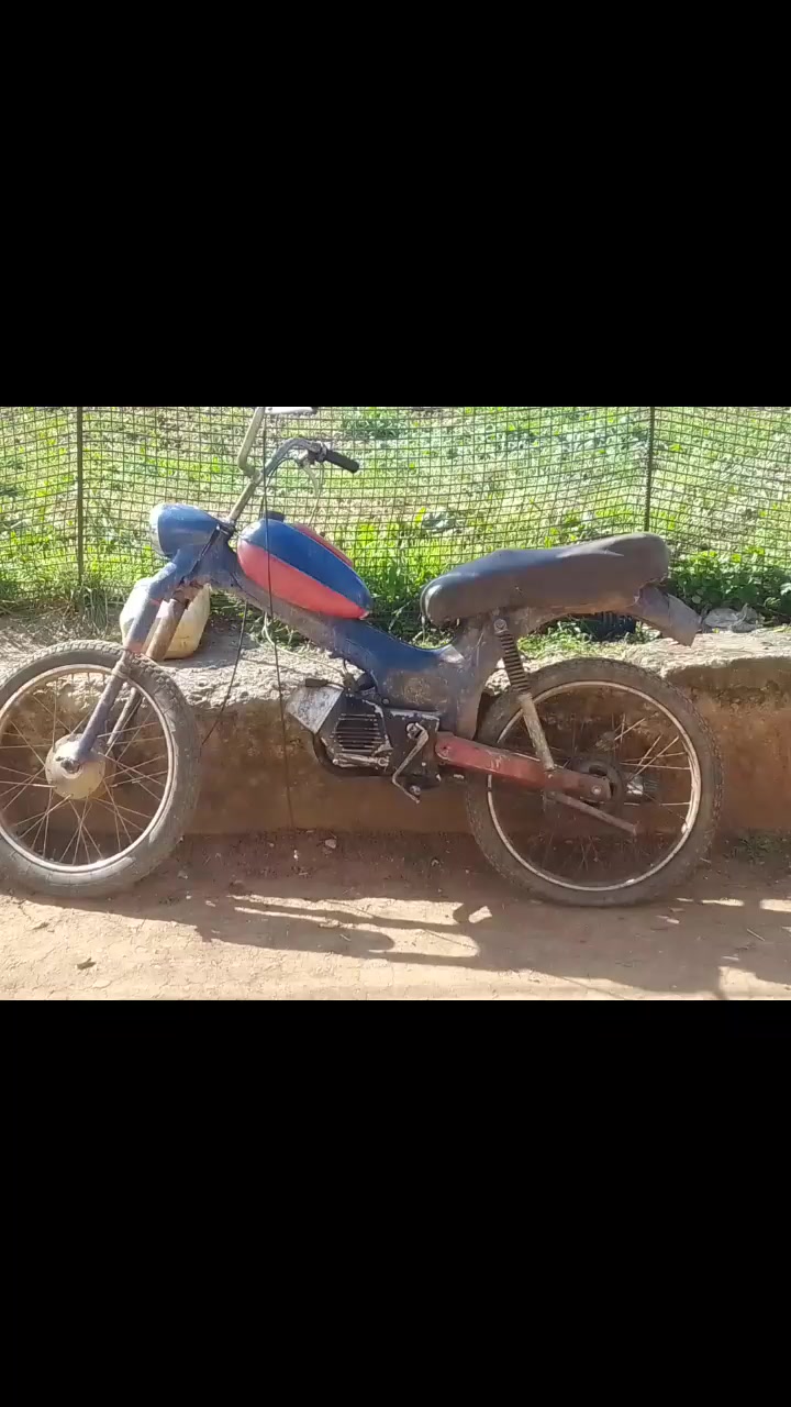 @aleksandar Stankovic