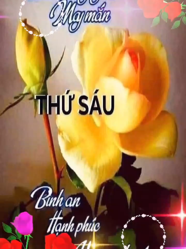 @Huỳnh Văn Được