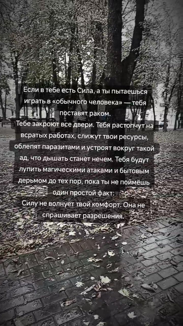 @Графиня де Россохатская