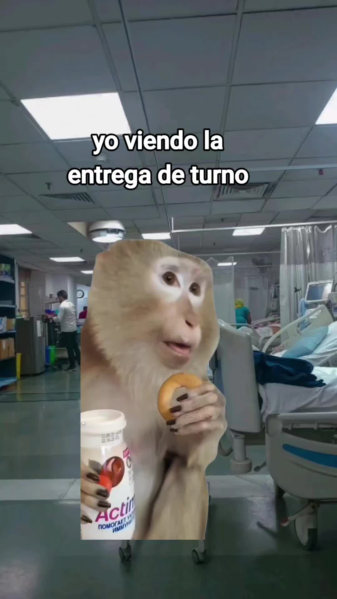 @AdultoChiquito