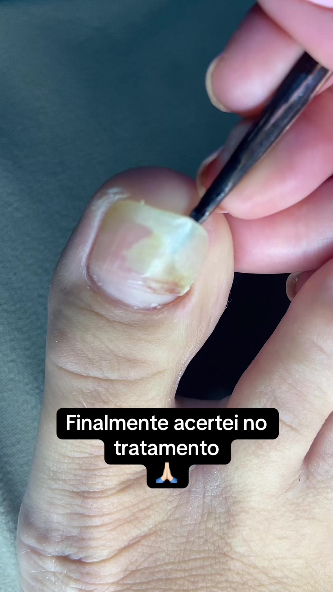 @Carolinaindica