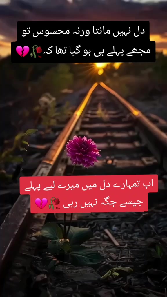 @tahirdishmaster🇵🇰