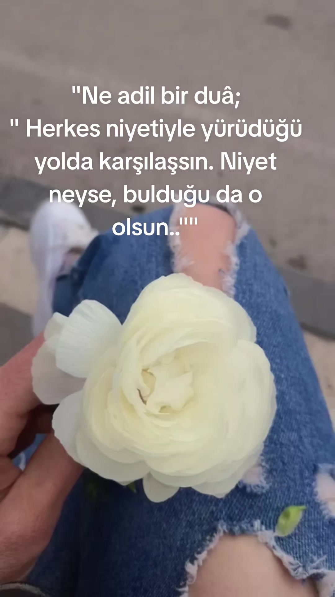 @Disperisi0101