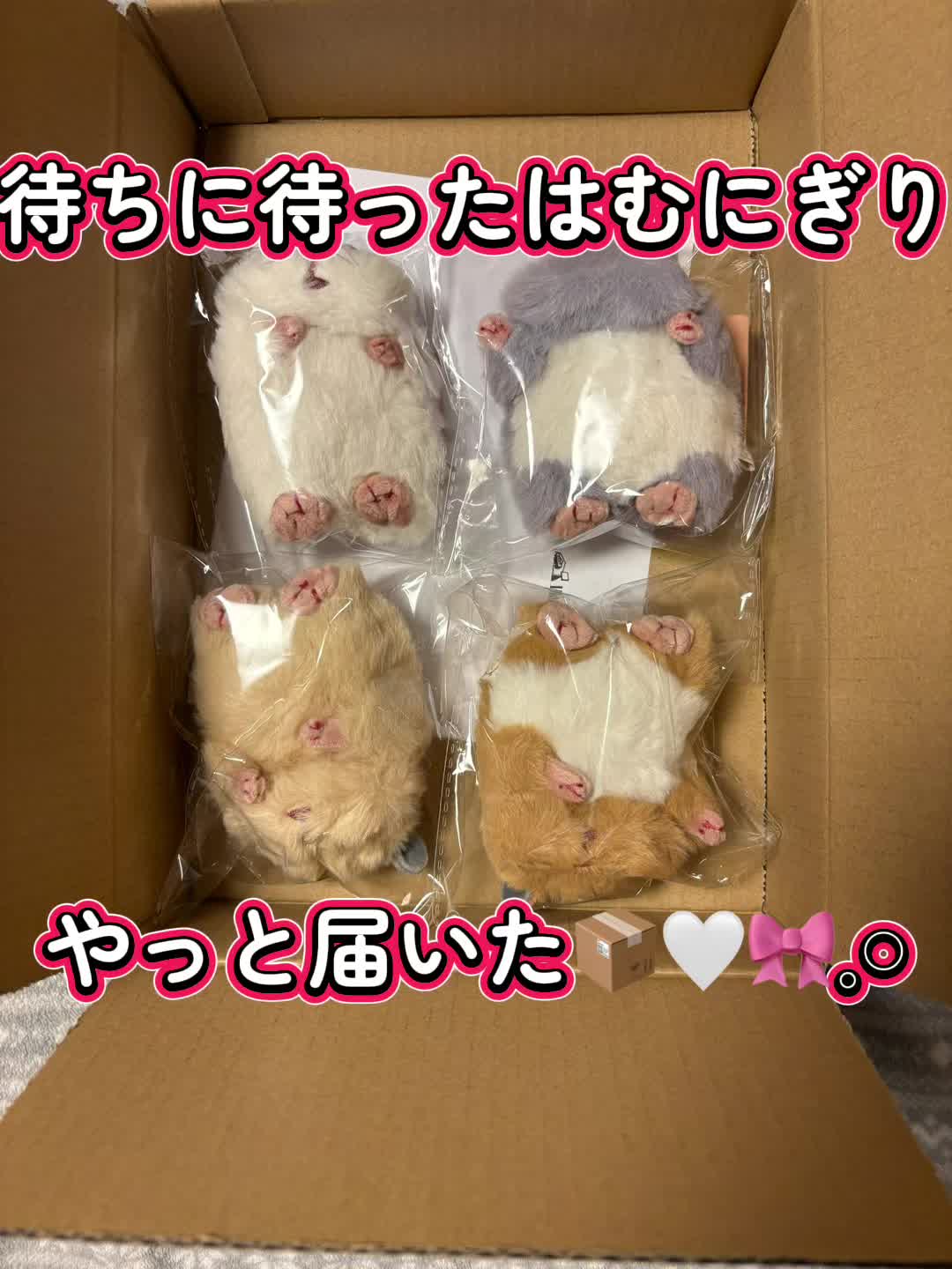 @はむにぎるね🌙