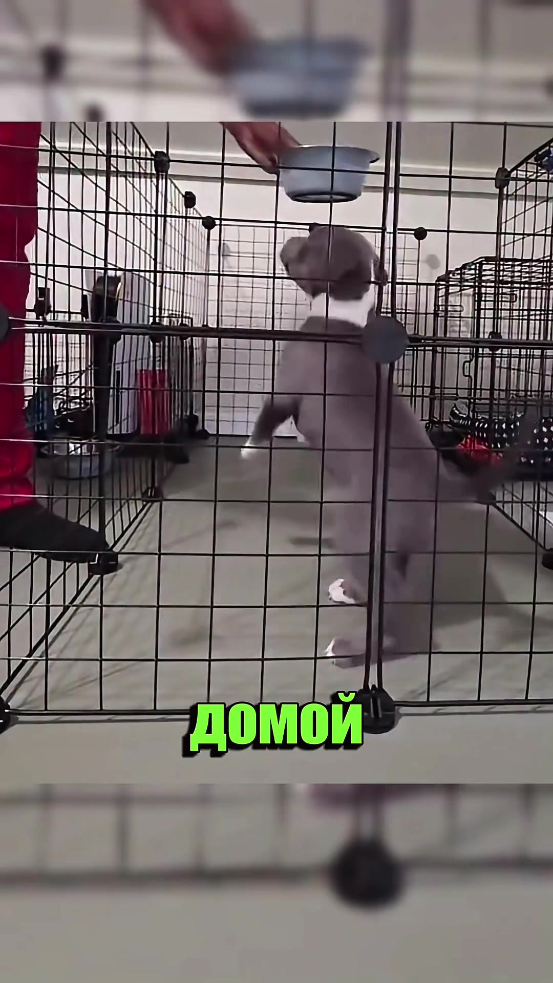@Troookking
