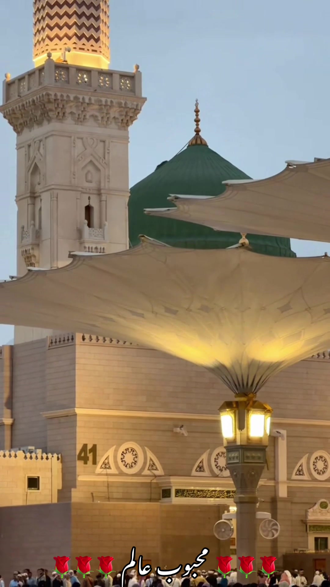 @محبوب عالم