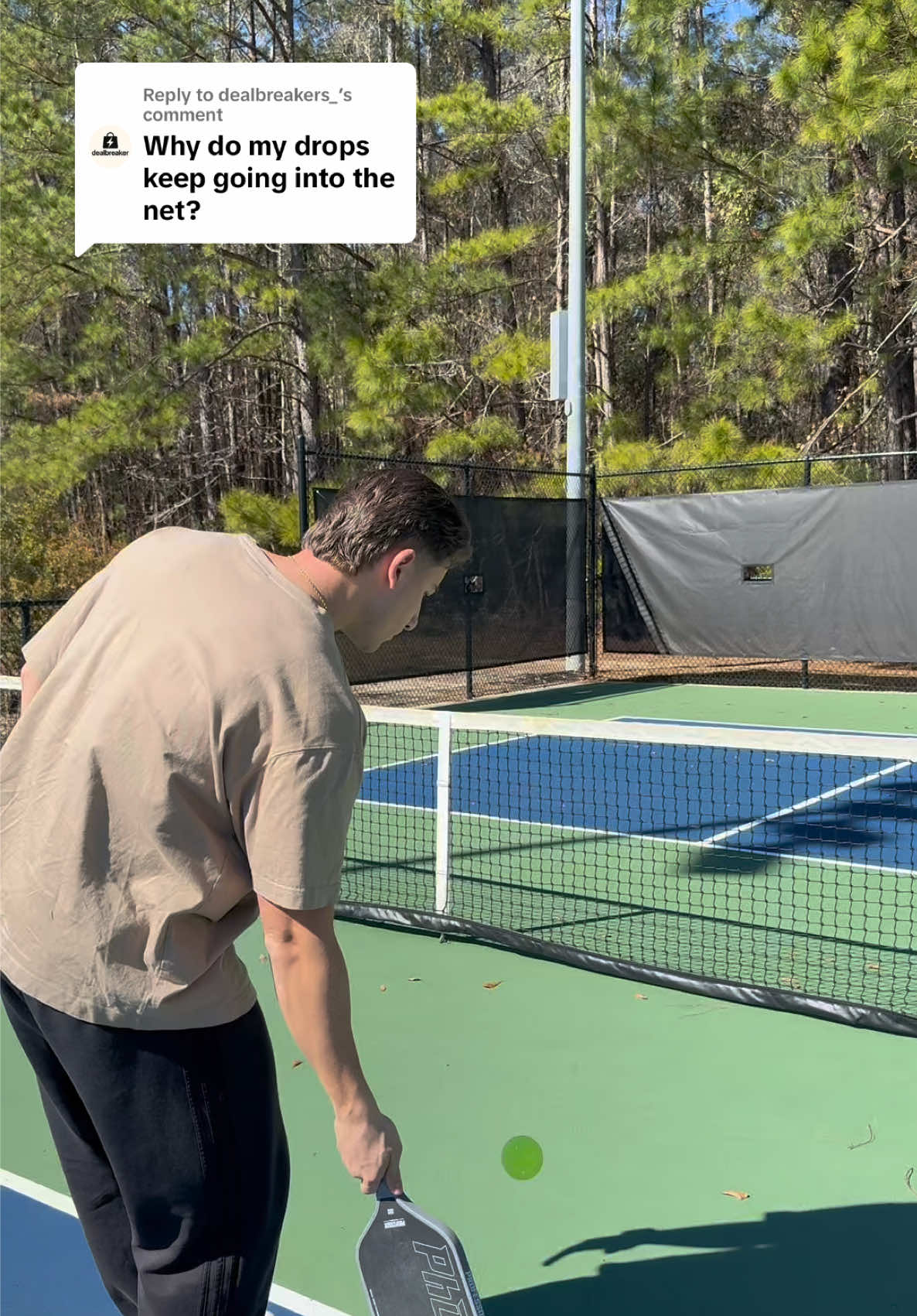 @Professor Pickleball