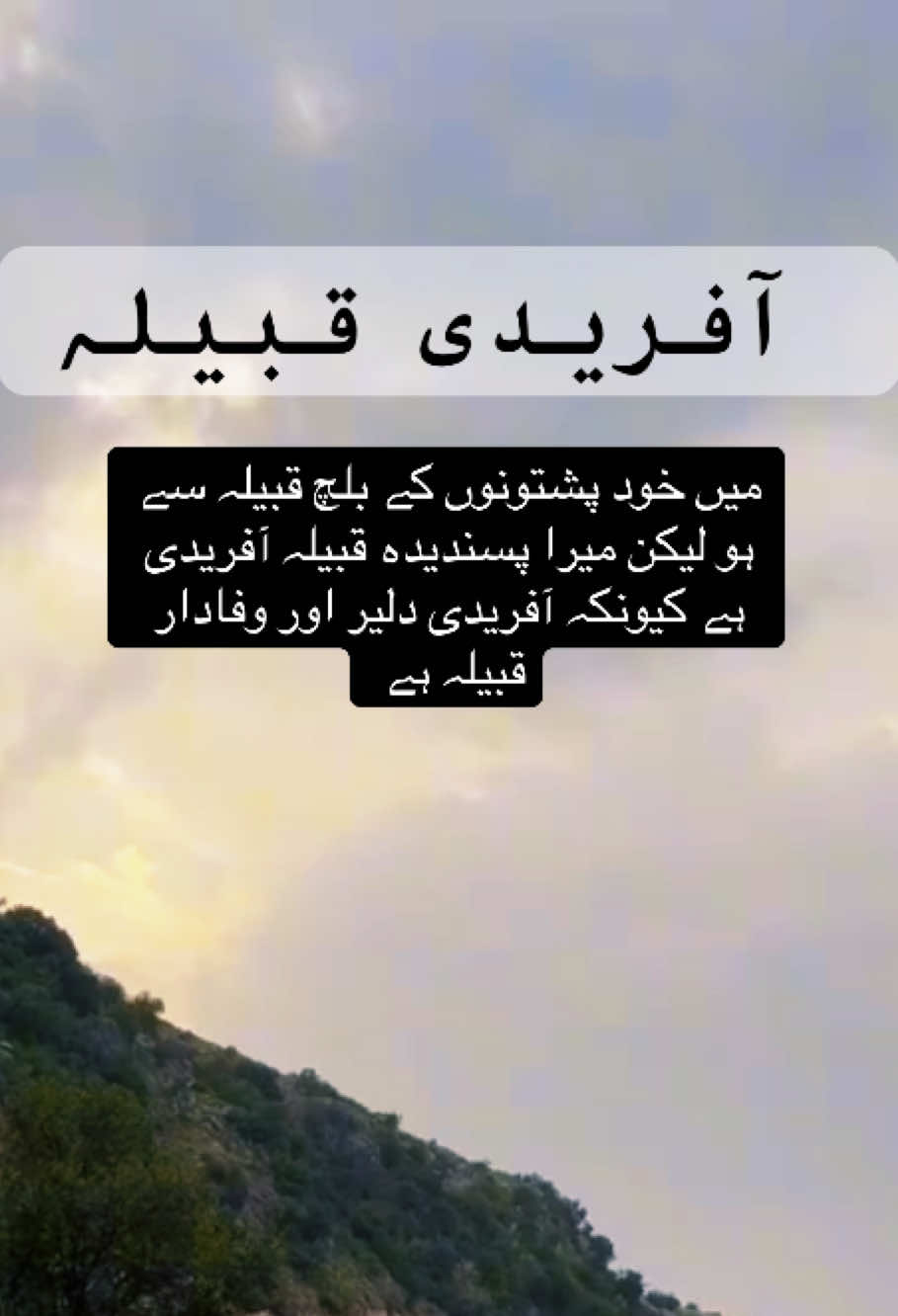 @⚔️قبیلہ بلچ پختون⚔️