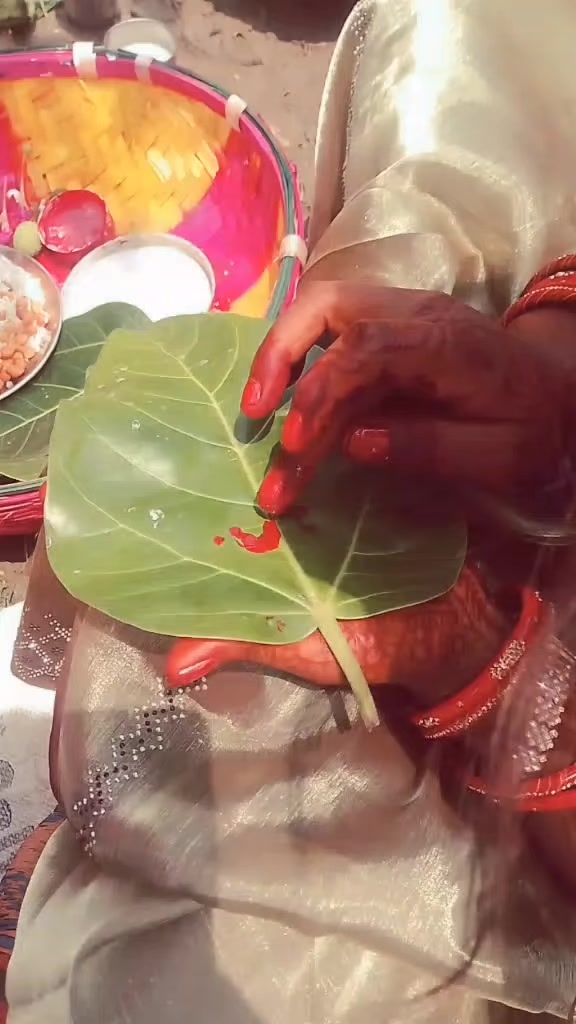@parwati mehta