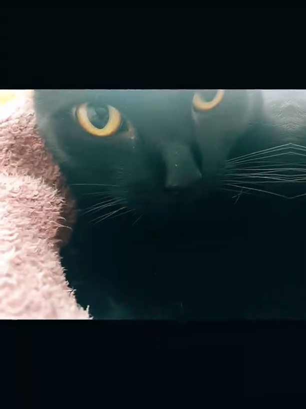 @ðžRomðŠ©HFð·