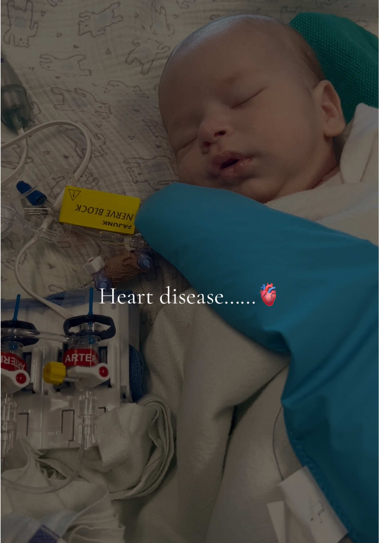 @𝒩𝑒𝓈𝓈𝒶 ♡💣CHD&bull;Momma🫀