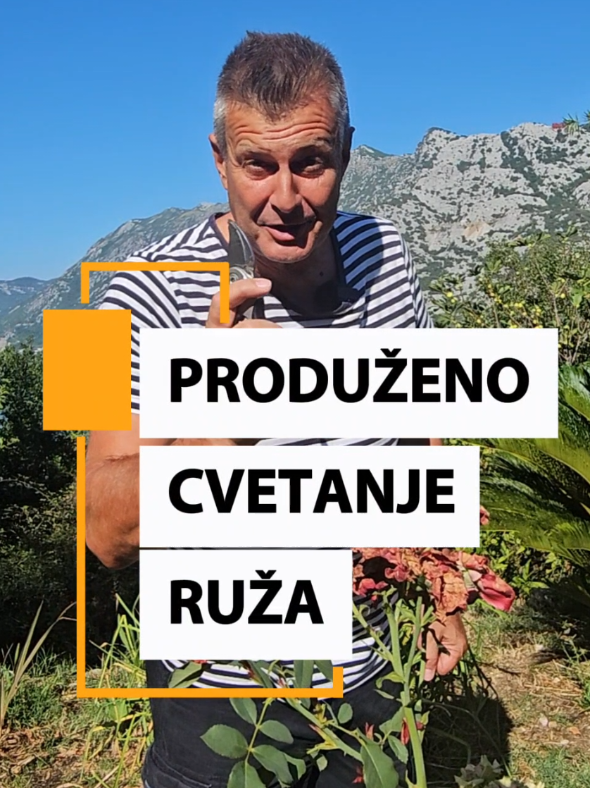 @Dejan Dragićević