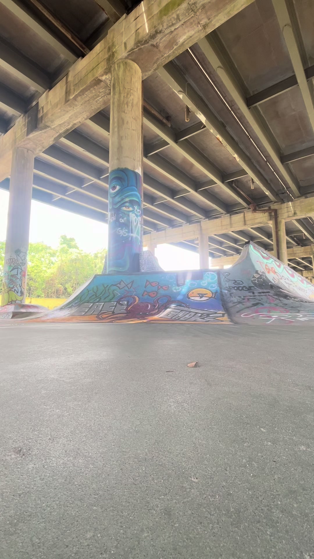 @omert&agrave;skates