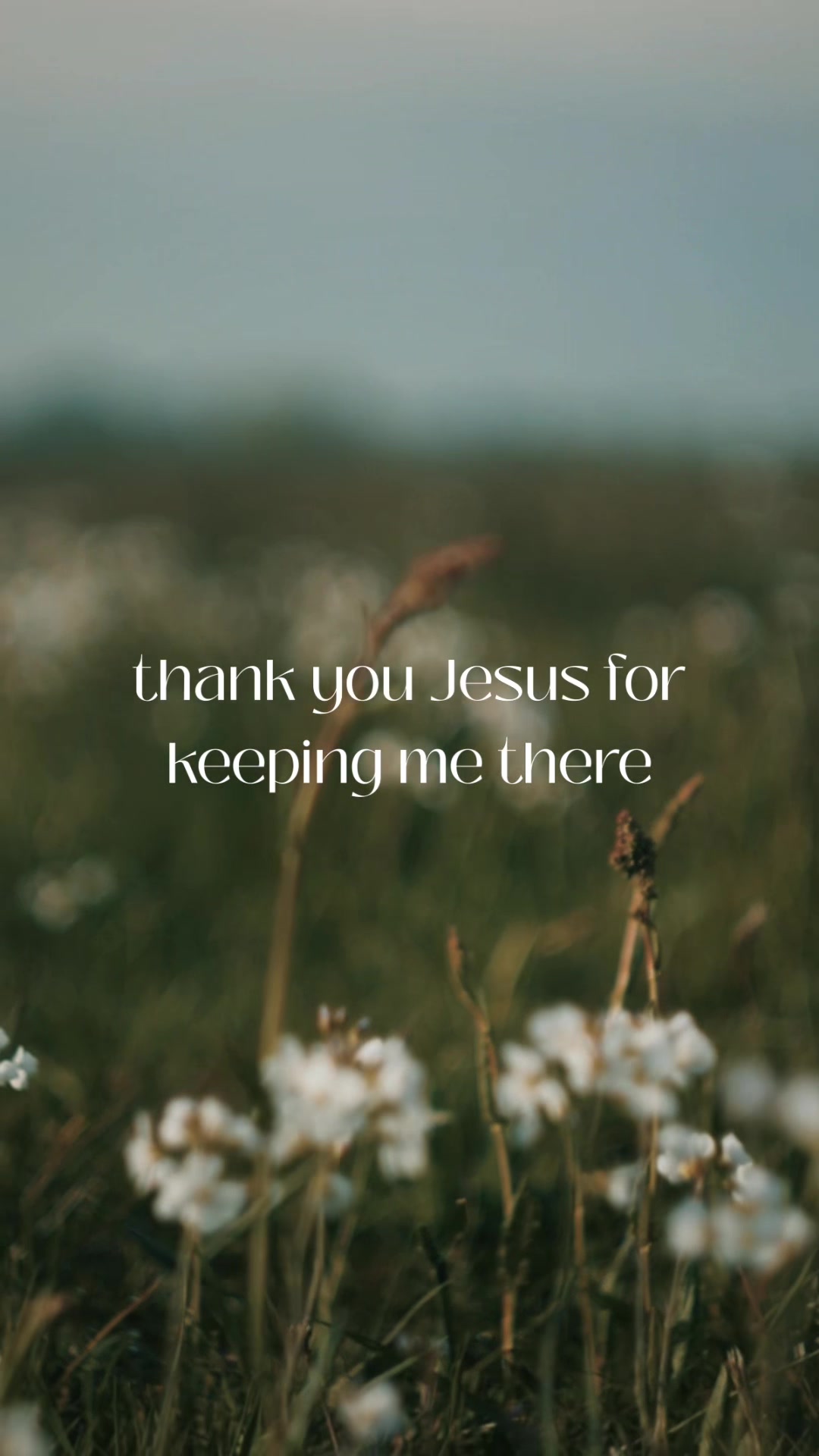 @Samantha Ebert