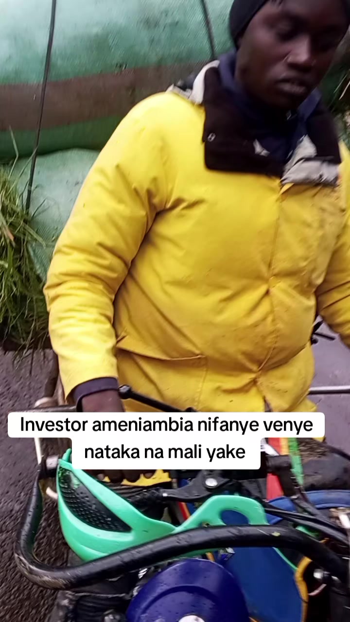 @NI STEVO     (THIGO)