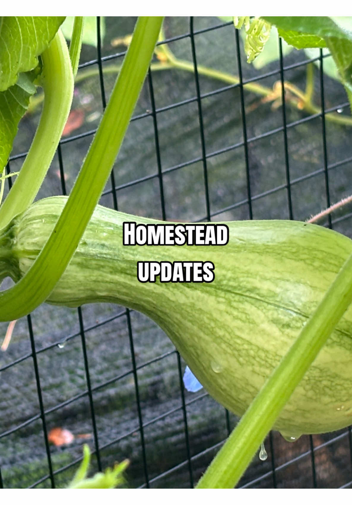 @LondonsPriorities