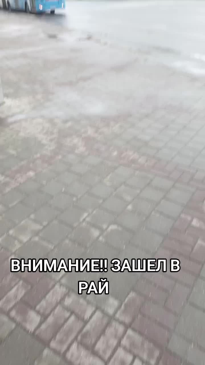 @51 ЛУЧШИЙ АВТОБУС