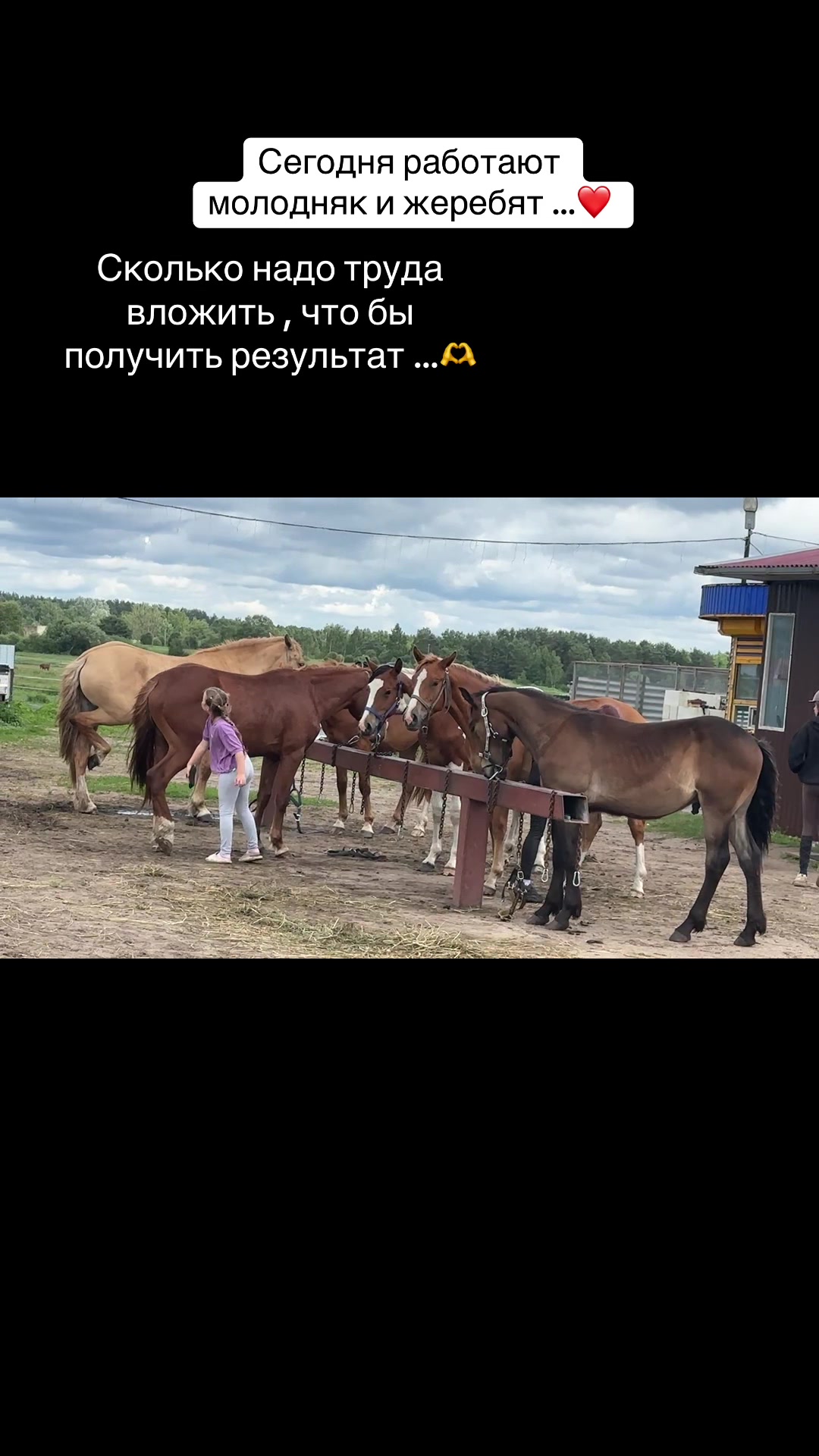 @Анастасия Чернявская.