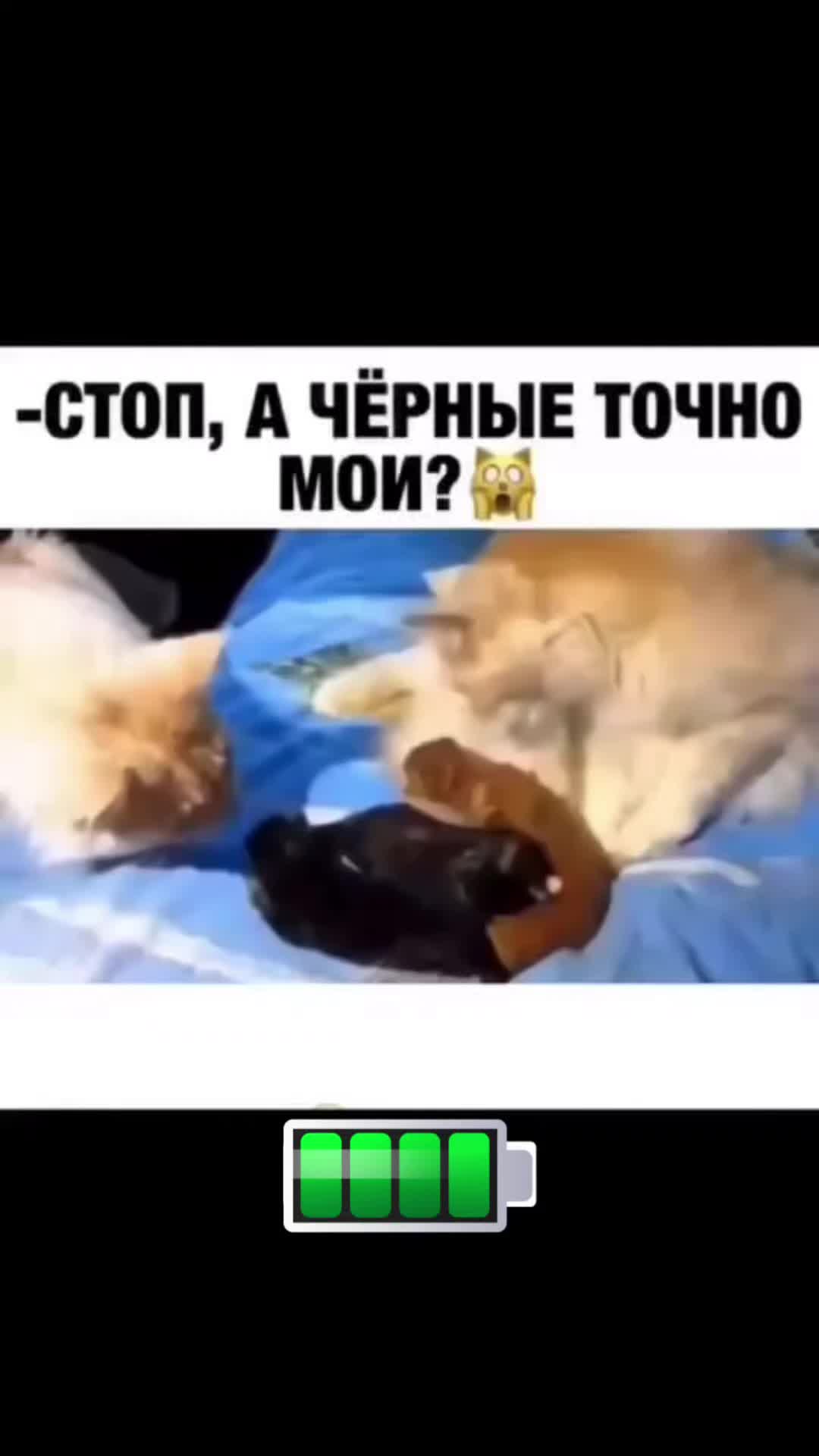 @Ahperzhan