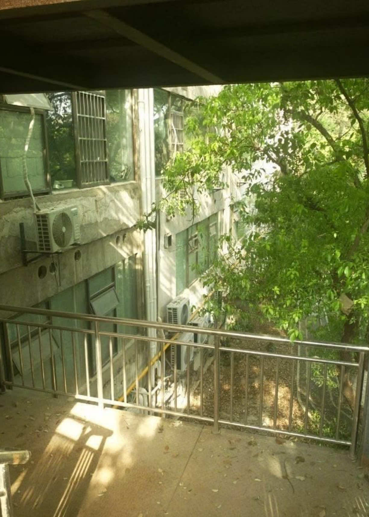 @۶ৎ 🦢🤍 𝐁𝐞𝐨𝐦𝐬𝐞𝐨𝐤 🩶🦢
