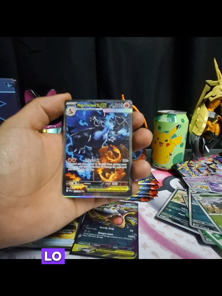 @yocolector