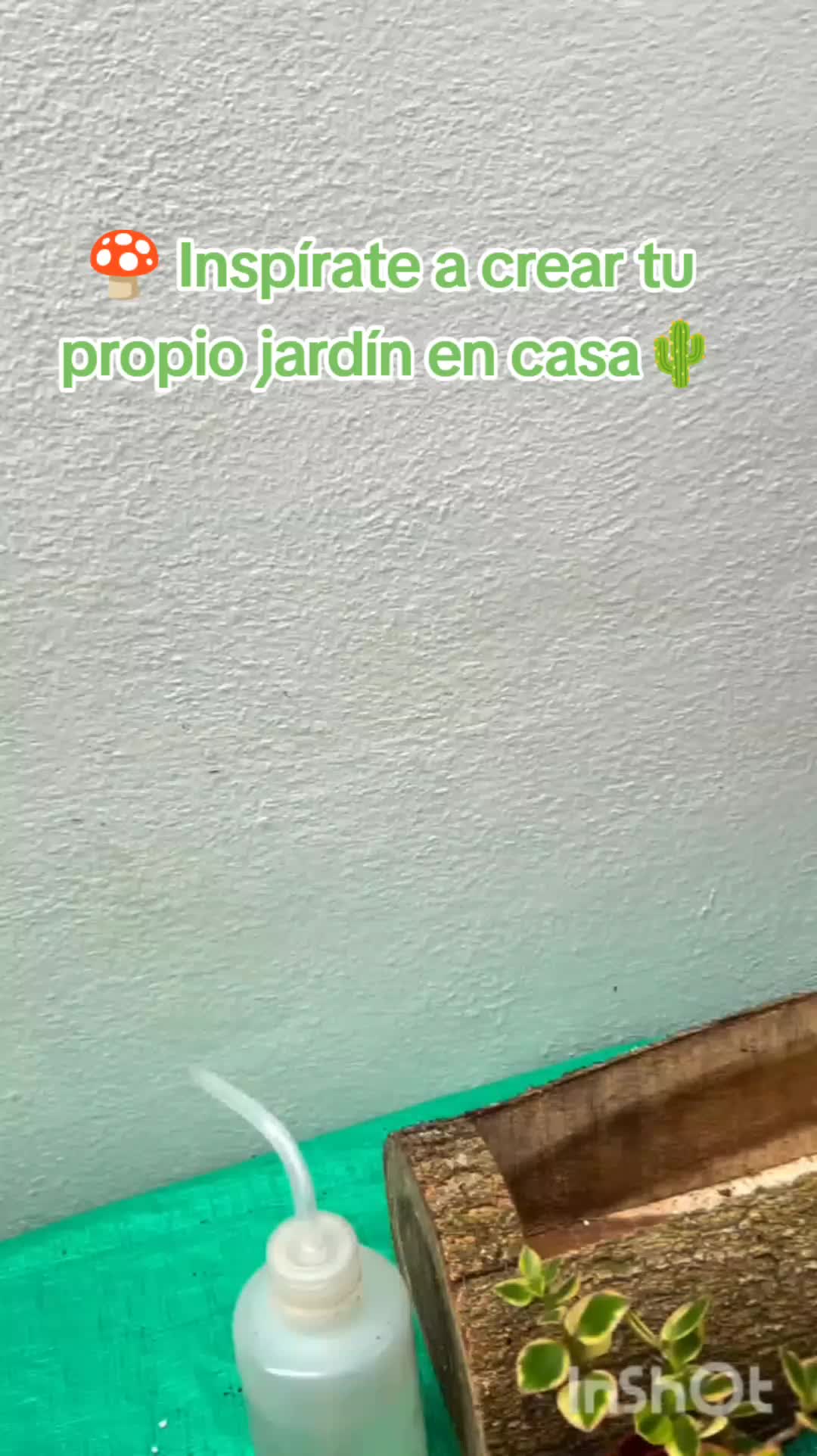 @user20505406424