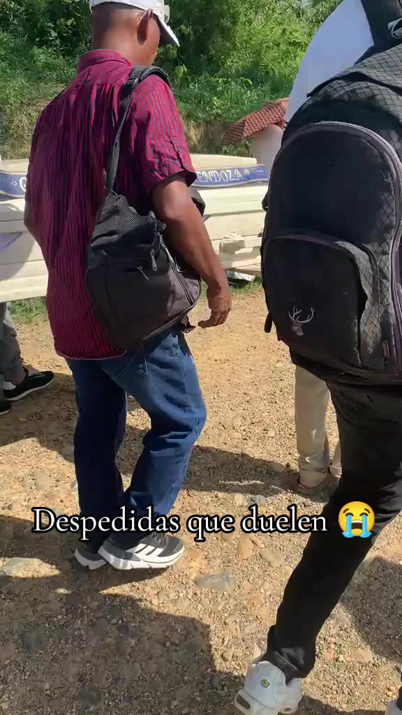 @kata arboleda