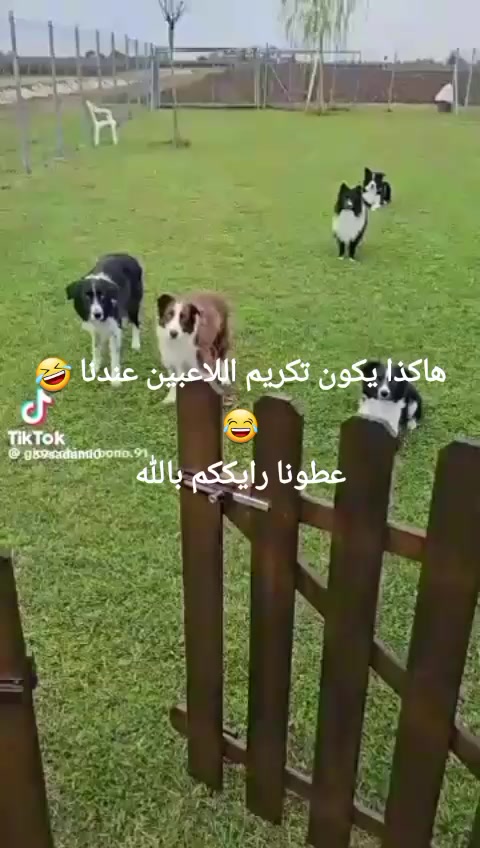 @سجاد2