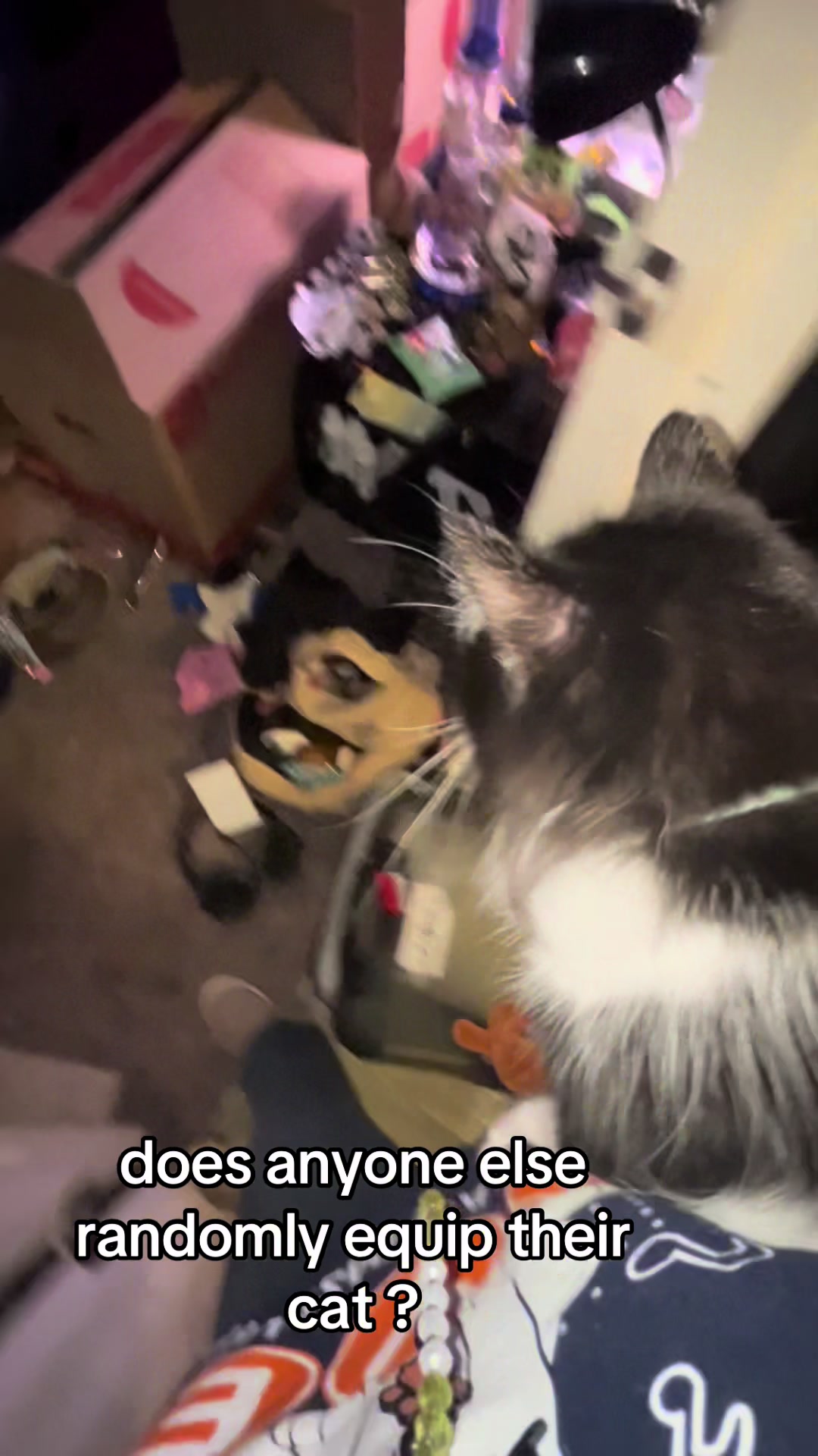 @punk.tails