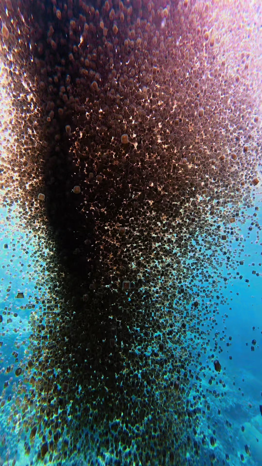 @Love Freediving Nha Trang