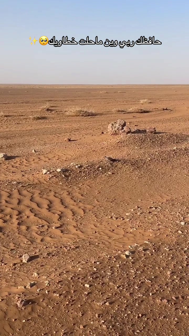 @نواف بن فرحان