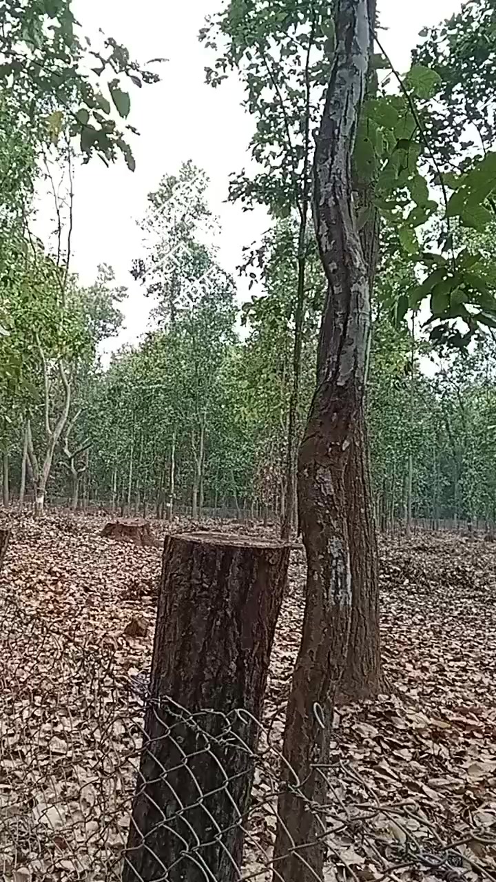 @RaJu NeUpAnEe410