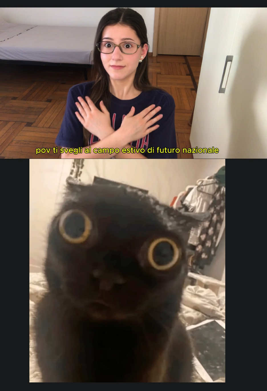 @🅶🅰🅸🅰⭑★
