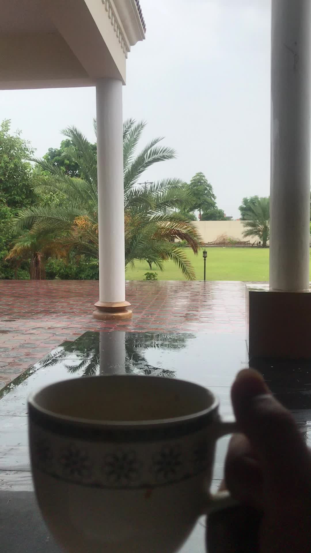 @ZAIB🐝