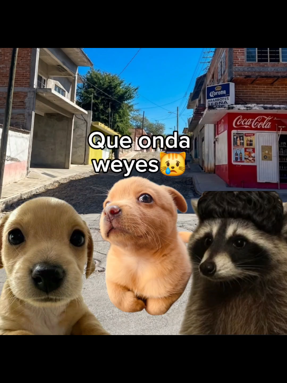 @El Perrix