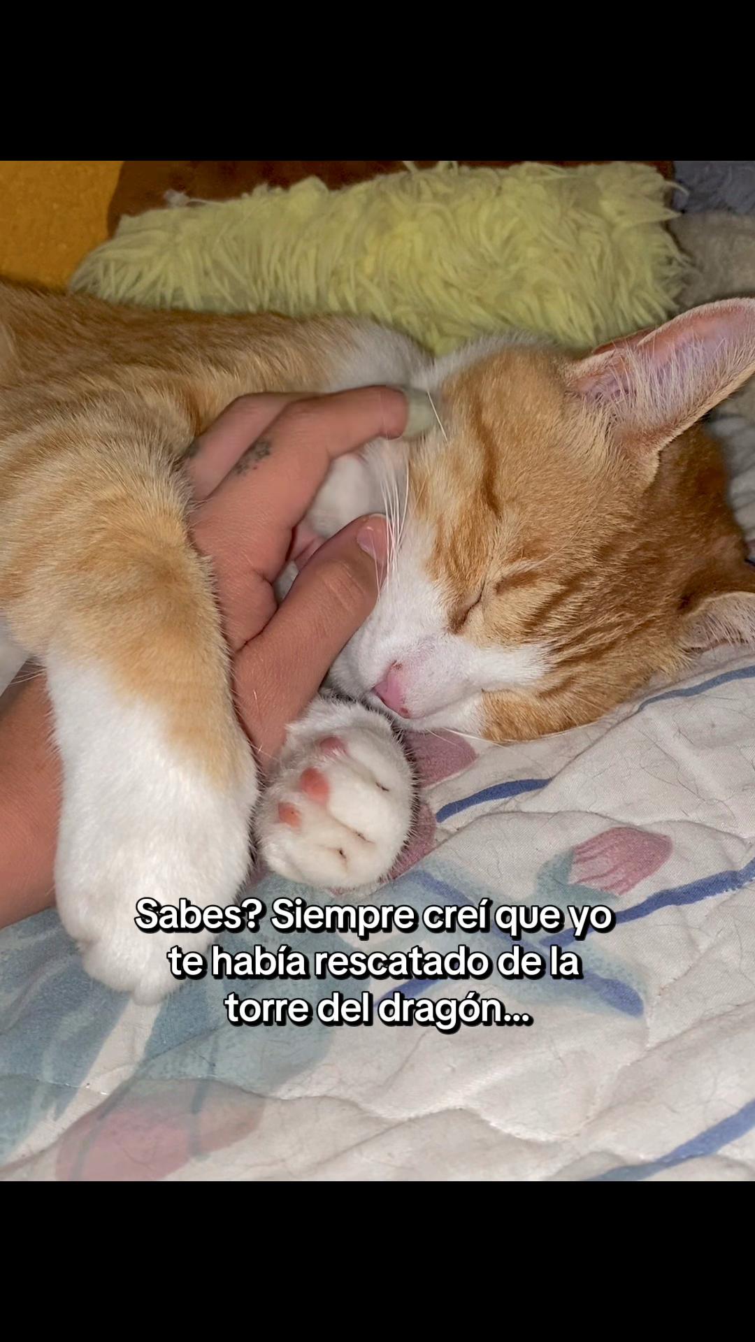 @Veyda Vazquez