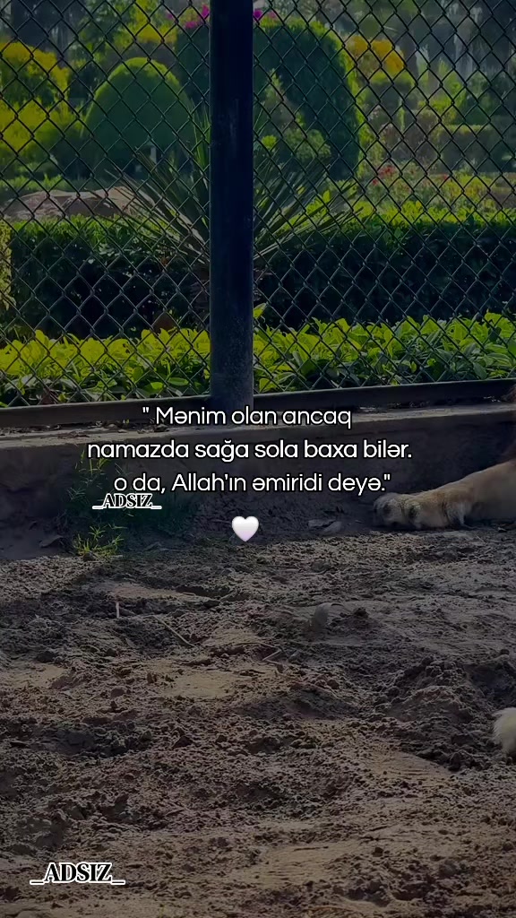 @_ADSIZ_