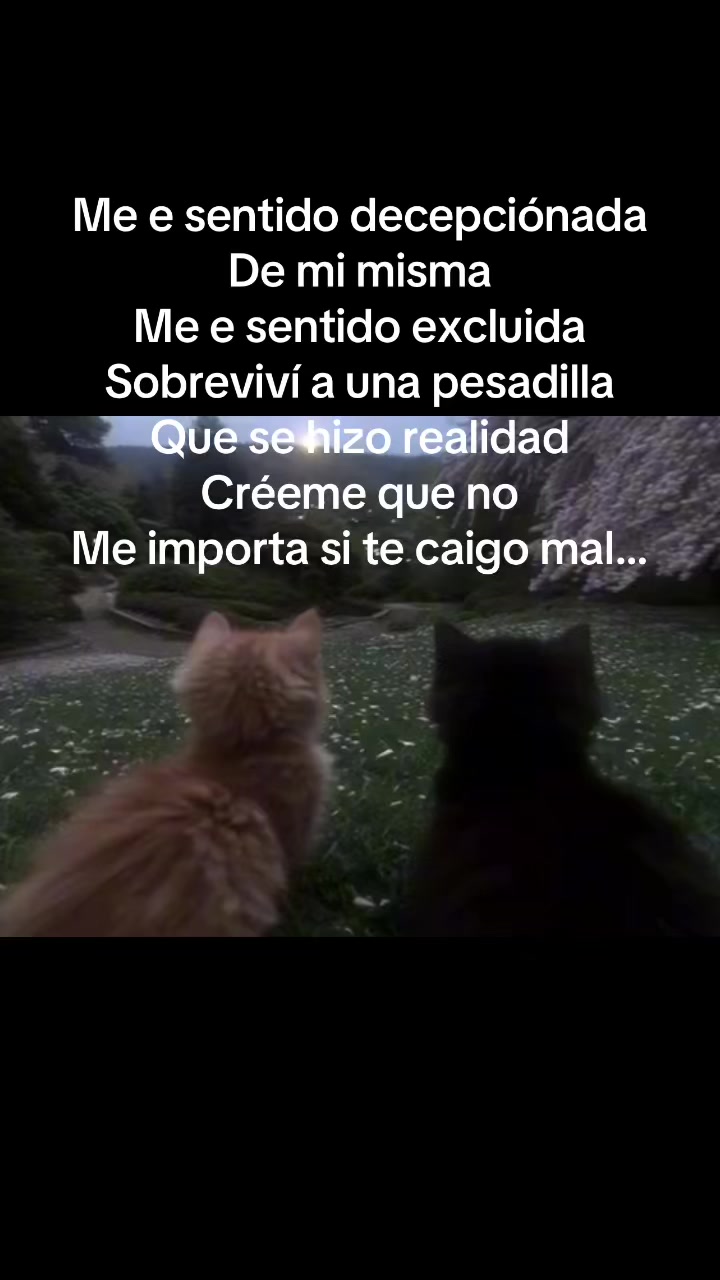 @•^~{Naty mora🫐}<~•