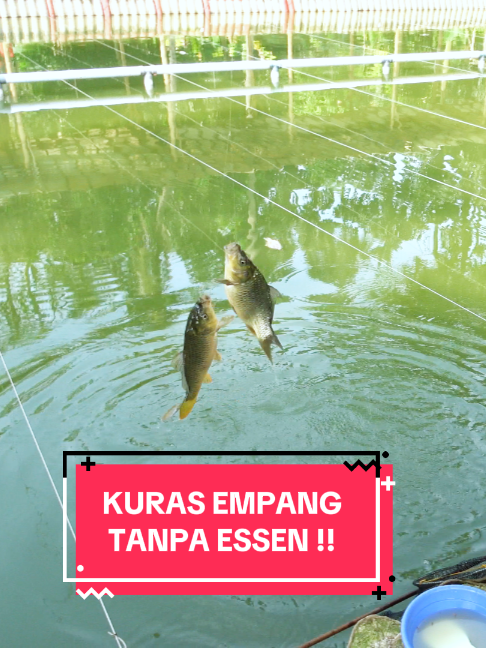 @SOBIRIN FISHING SHOP