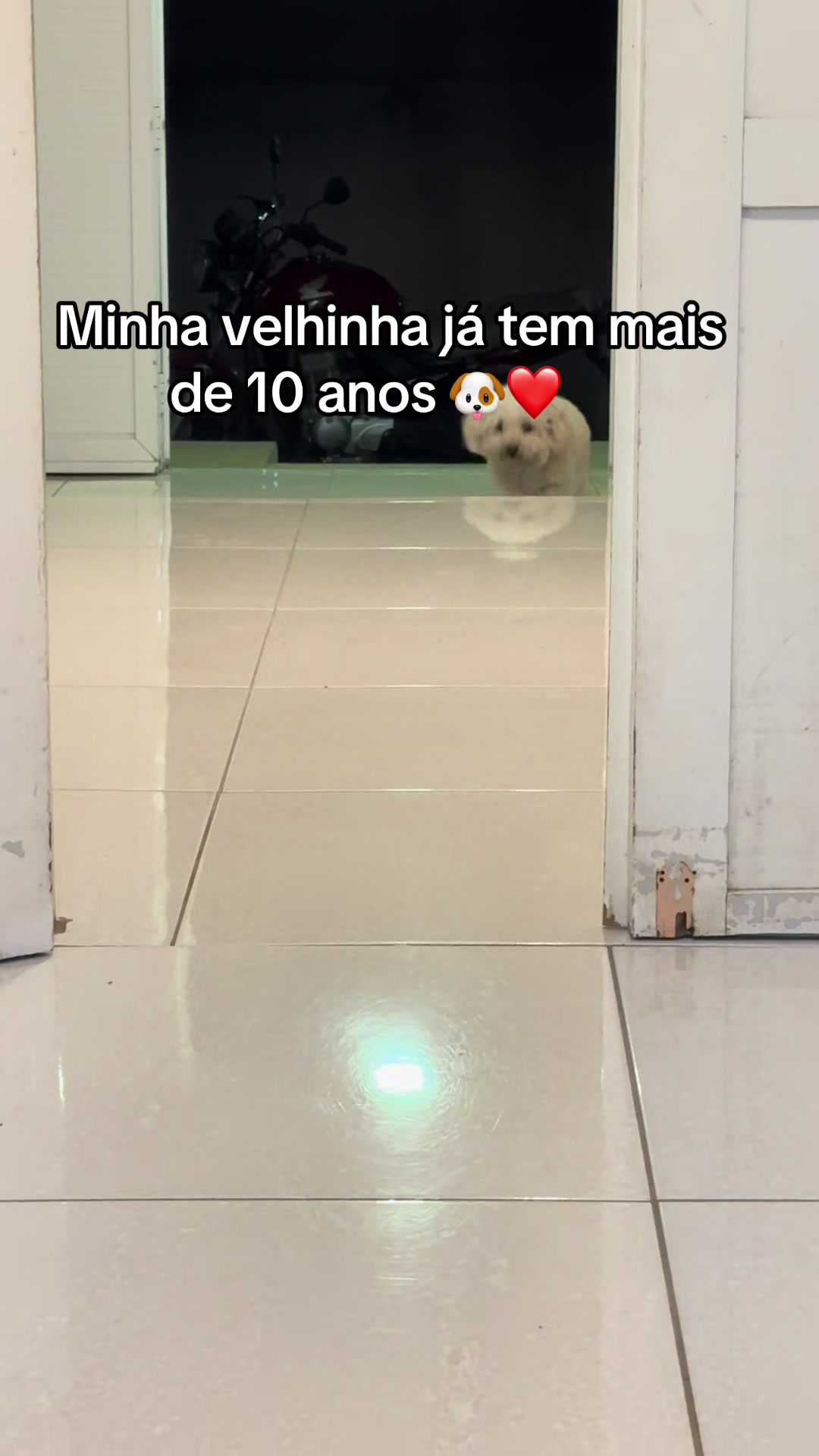@elizangelasousa_