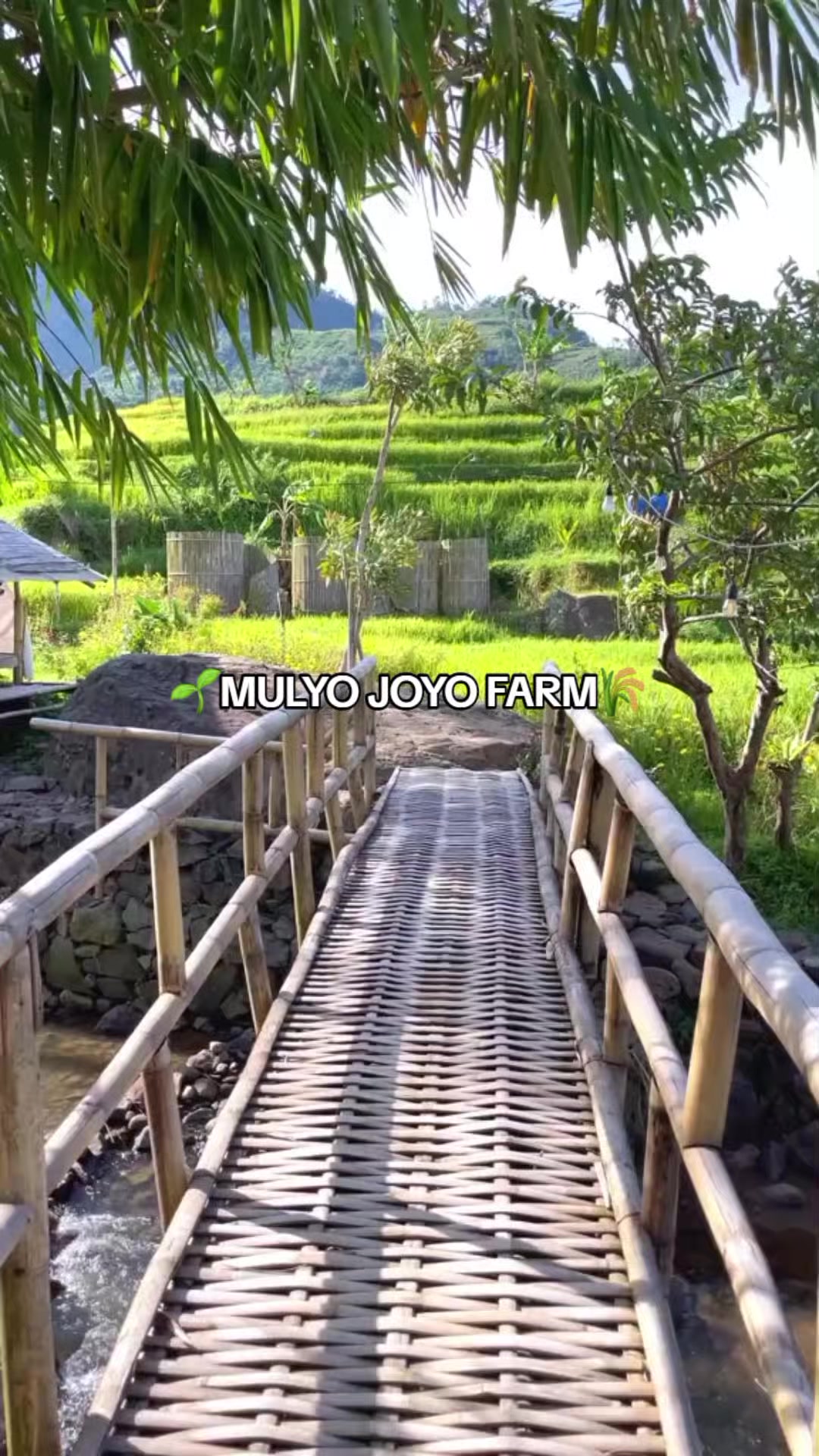 @MULYO JOYO FARM