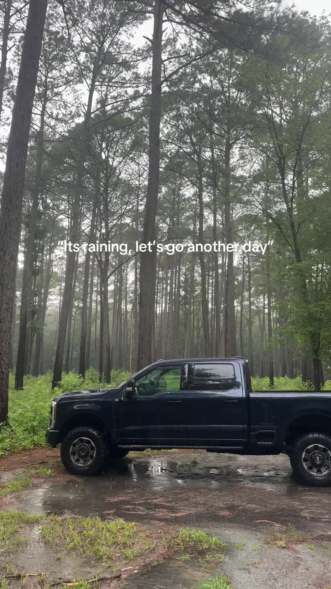 @Nic🌲Solo Traveler & Adventure
