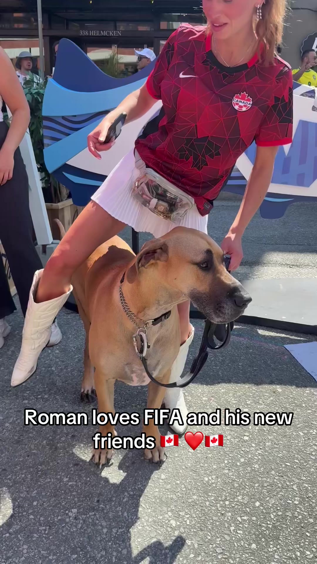 @Roman the Great Dane