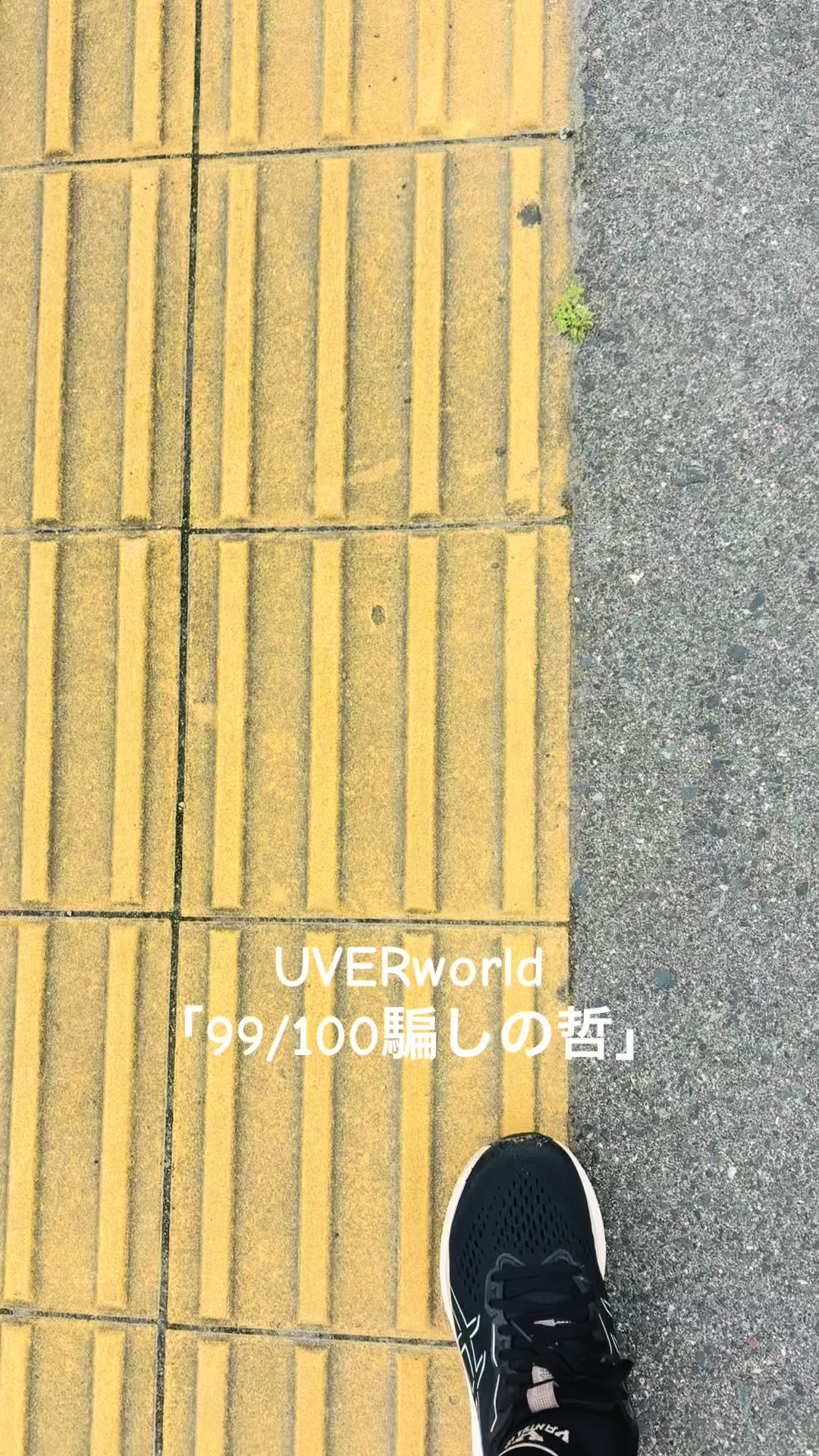 @たつみ♾️